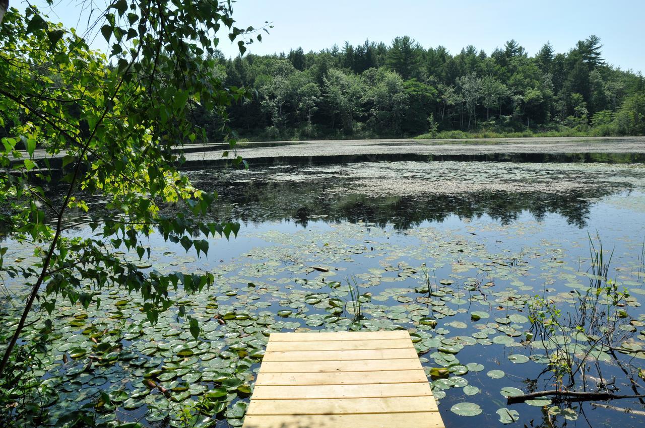 Tuxbury Pond Camping Resort Tiny House Clara South Hampton Bagian luar foto