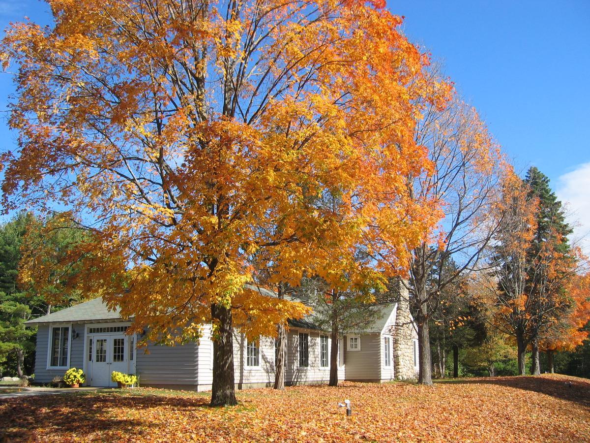 Tuxbury Pond Camping Resort Tiny House Clara South Hampton Bagian luar foto
